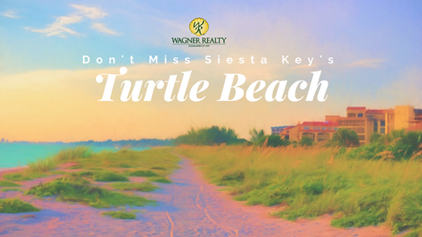 Siesta Key Turtle Beach