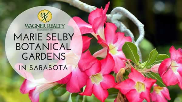 Sarasota Selby Gardens