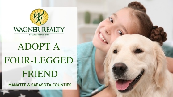 Manatee & Sarasota  Pet Adoption